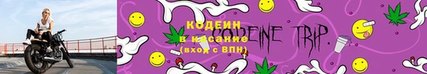 кокс Аркадак