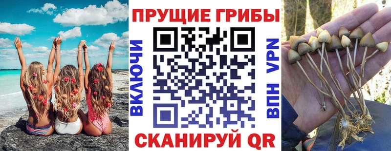 купить закладку  Дзержинск  Галлюциногенные грибы прущие грибы 